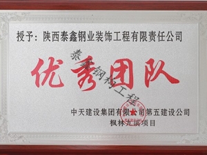 漢中優.秀團隊—中天楓林九溪