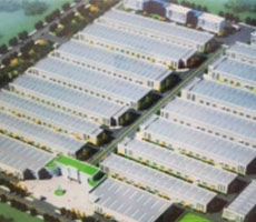 興平泰鑫鋼結構工程—構建美好生活！